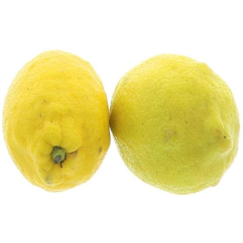 CITRON GROSBUSCH FILET 15X500G